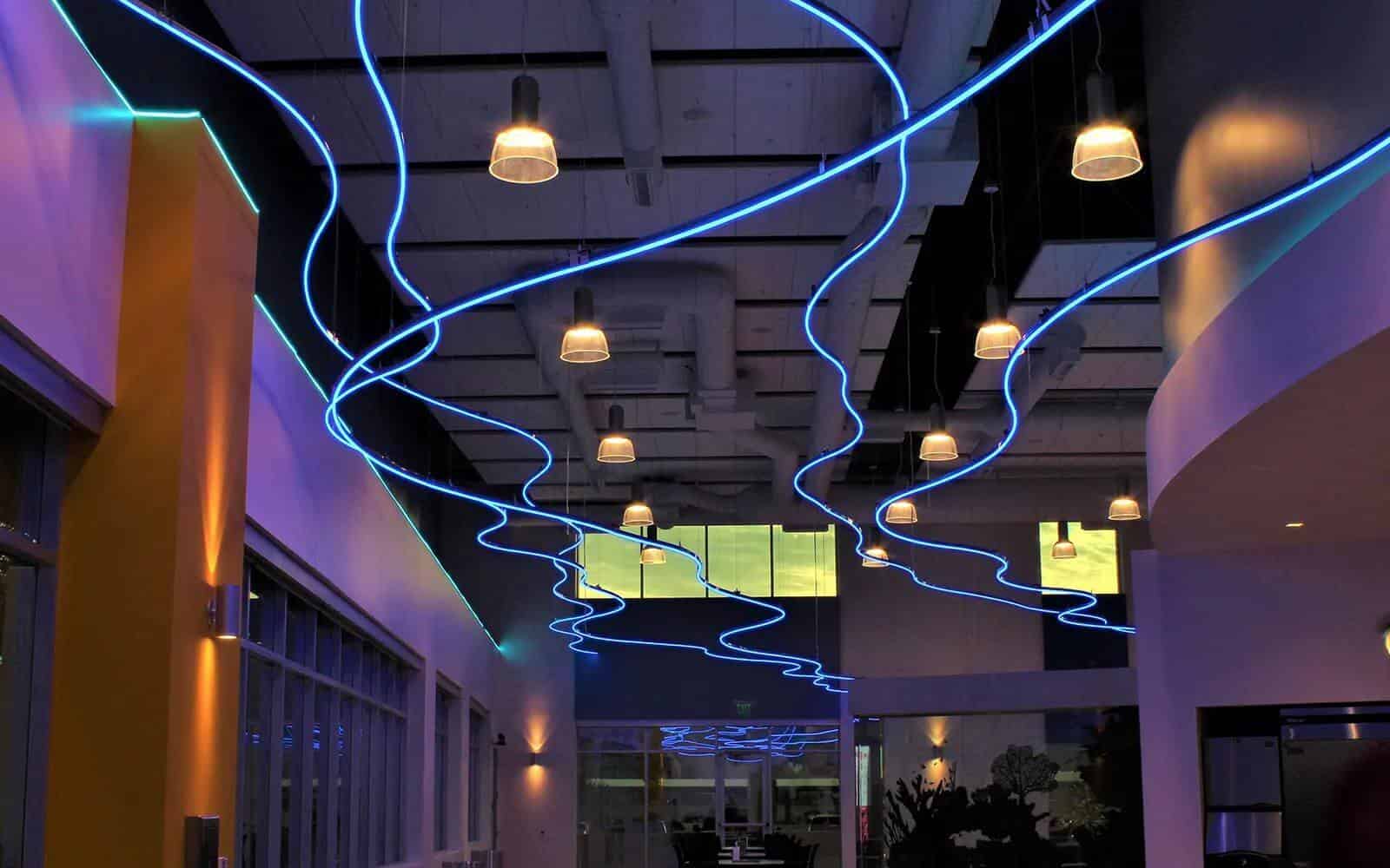 Flex neon sales