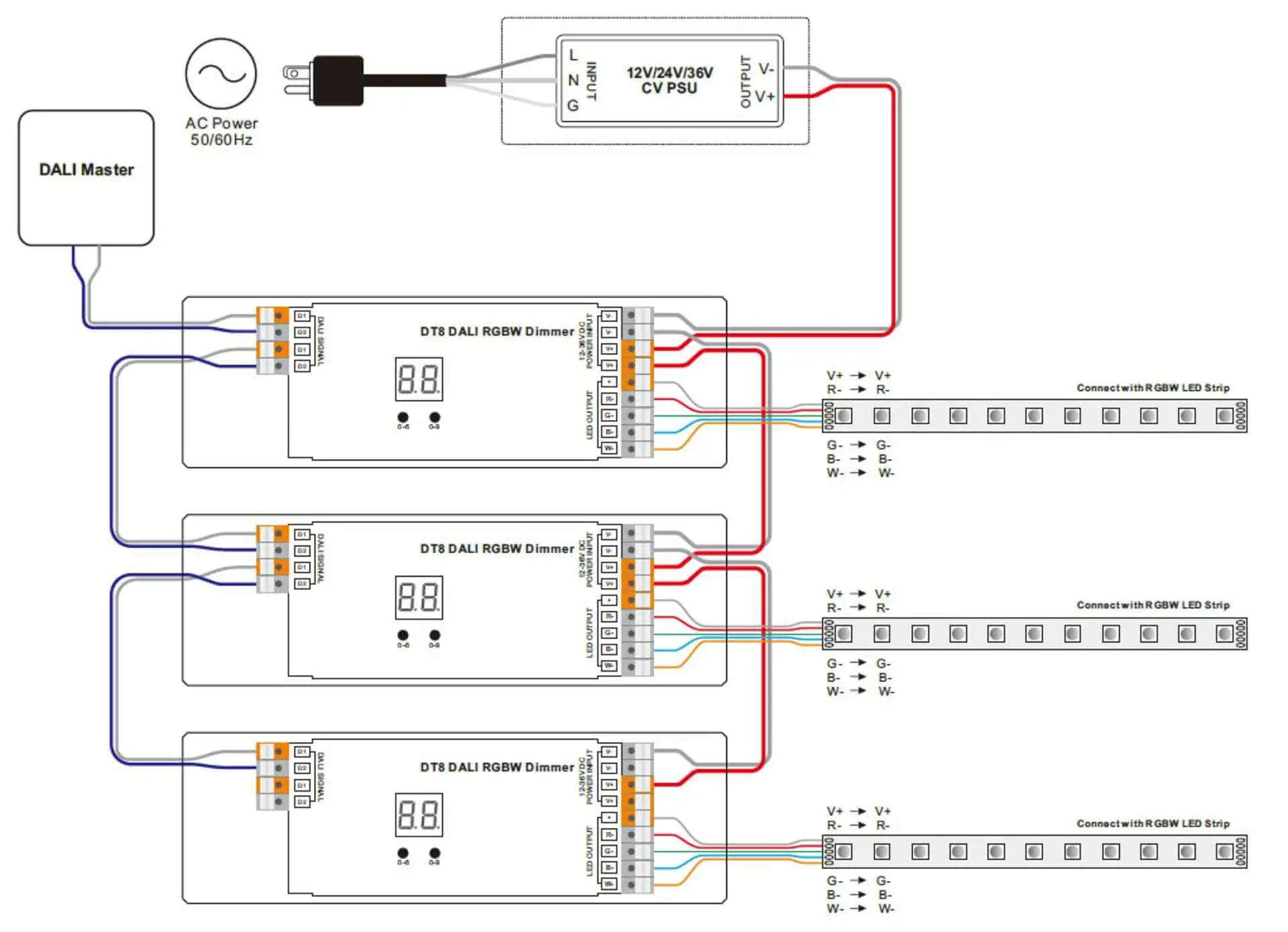 rgbw led strip dali dt8 แผนภาพการเชื่อมต่อ