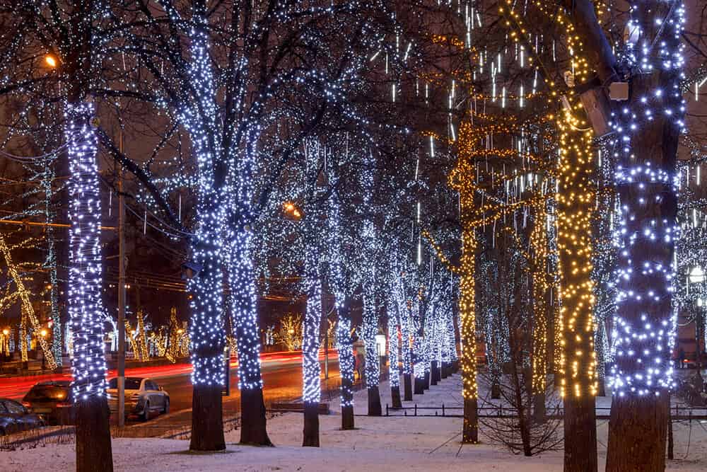 rope light for trees