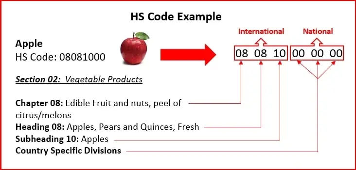 structure du code hs