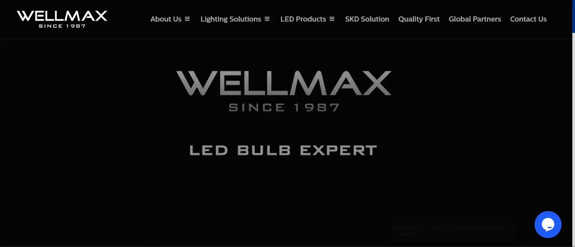 wellmax verlichting