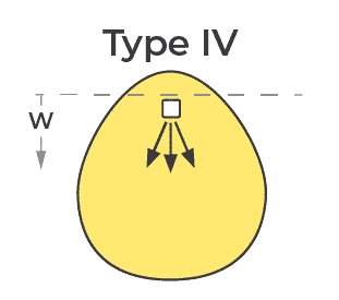 iesna type iv light distribution